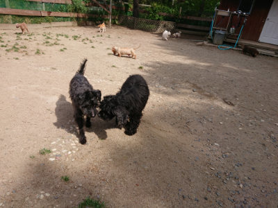 f:id:roukenhome-ann:20190519175744j:plain