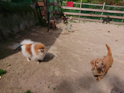 f:id:roukenhome-ann:20190519175801j:plain