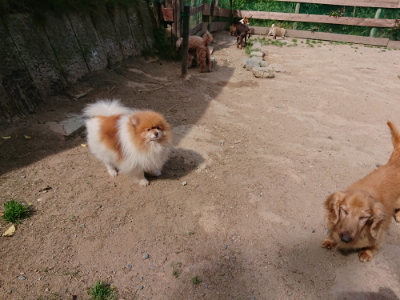 f:id:roukenhome-ann:20190519175810j:plain
