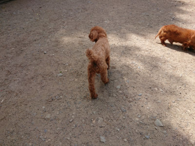 f:id:roukenhome-ann:20190519175821j:plain