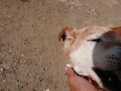 f:id:roukenhome-ann:20190519182933j:plain