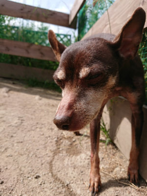f:id:roukenhome-ann:20190519182944j:plain