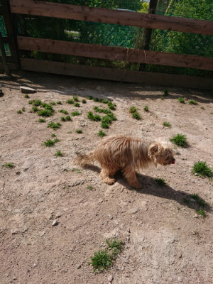 f:id:roukenhome-ann:20190519182953j:plain