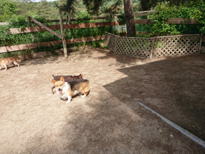 f:id:roukenhome-ann:20190519183019j:plain