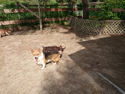 f:id:roukenhome-ann:20190519183048j:plain