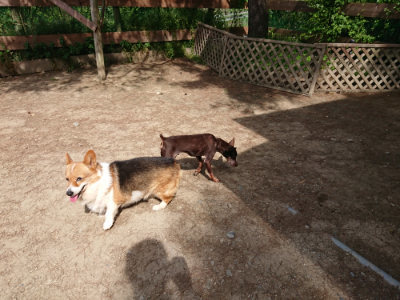 f:id:roukenhome-ann:20190519183217j:plain
