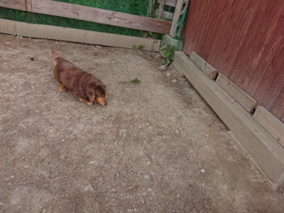 f:id:roukenhome-ann:20190519183232j:plain