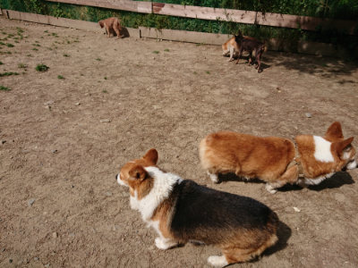 f:id:roukenhome-ann:20190519183304j:plain