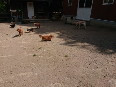 f:id:roukenhome-ann:20190519183313j:plain