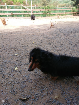 f:id:roukenhome-ann:20190519183321j:plain