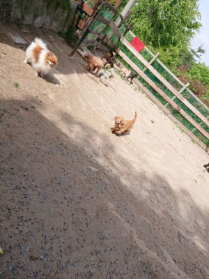 f:id:roukenhome-ann:20190519183333j:plain