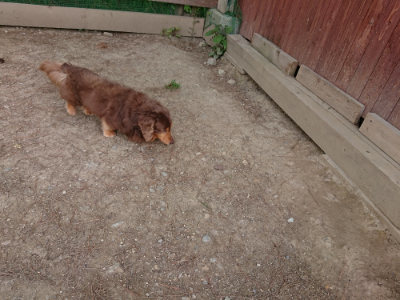 f:id:roukenhome-ann:20190519183340j:plain