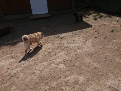 f:id:roukenhome-ann:20190519183351j:plain
