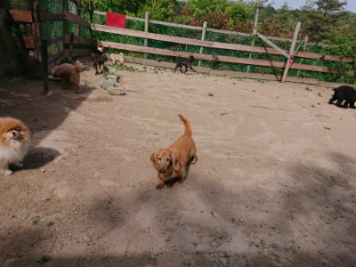 f:id:roukenhome-ann:20190519183359j:plain