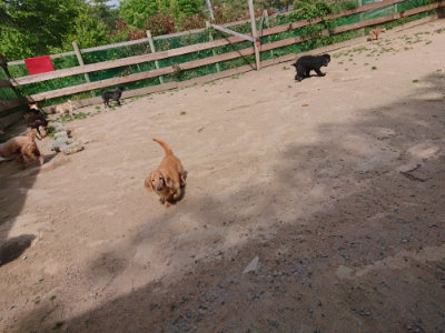f:id:roukenhome-ann:20190519183438j:plain