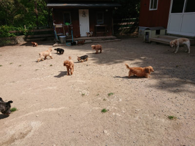 f:id:roukenhome-ann:20190519183451j:plain