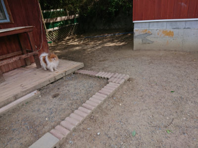 f:id:roukenhome-ann:20190519183501j:plain