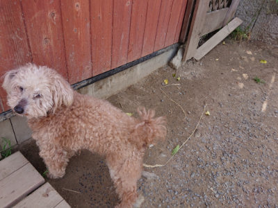f:id:roukenhome-ann:20190519183517j:plain