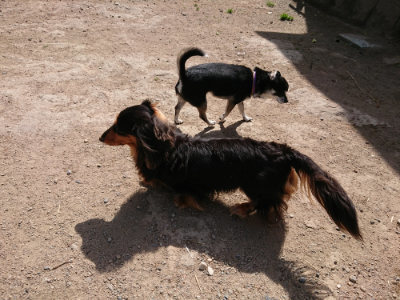 f:id:roukenhome-ann:20190519183527j:plain