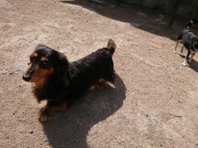 f:id:roukenhome-ann:20190519183549j:plain