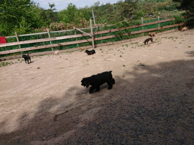 f:id:roukenhome-ann:20190519183557j:plain