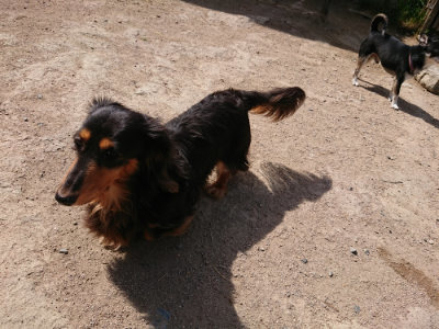 f:id:roukenhome-ann:20190519183603j:plain
