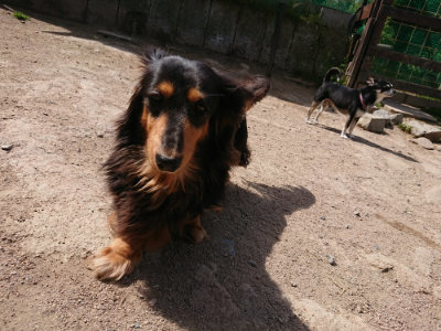 f:id:roukenhome-ann:20190519183610j:plain