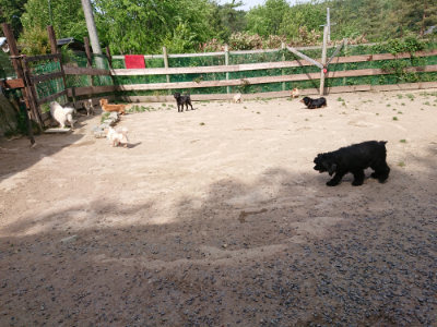 f:id:roukenhome-ann:20190519183615j:plain