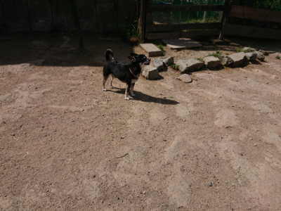 f:id:roukenhome-ann:20190519183625j:plain