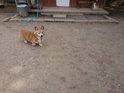 f:id:roukenhome-ann:20190519183630j:plain