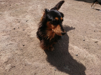 f:id:roukenhome-ann:20190519183646j:plain