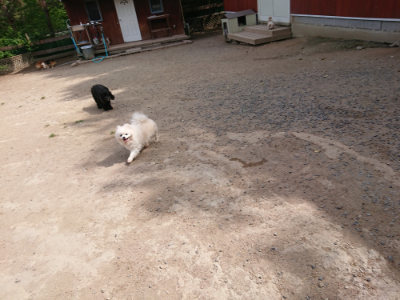 f:id:roukenhome-ann:20190519183657j:plain