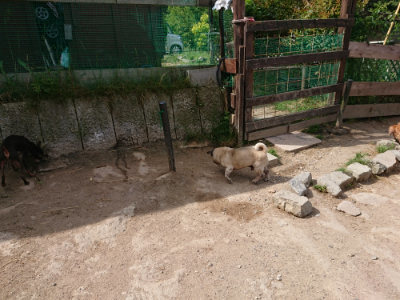 f:id:roukenhome-ann:20190519183714j:plain