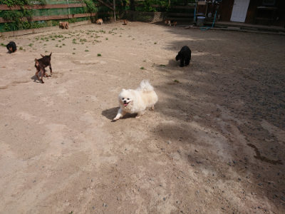 f:id:roukenhome-ann:20190519183719j:plain