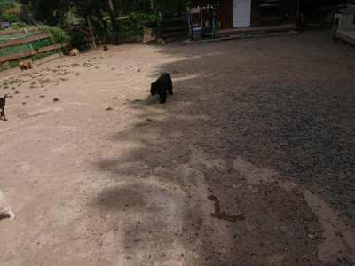 f:id:roukenhome-ann:20190519183725j:plain