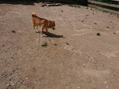 f:id:roukenhome-ann:20190519191930j:plain