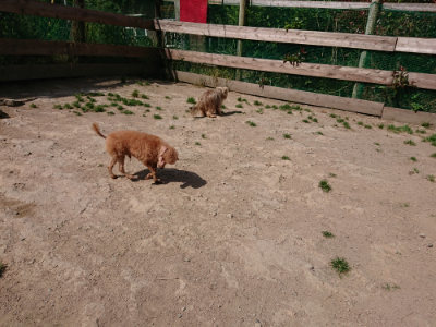 f:id:roukenhome-ann:20190519191952j:plain