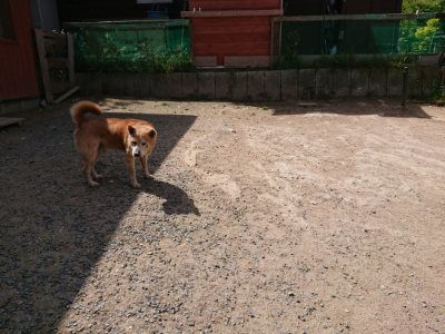 f:id:roukenhome-ann:20190519192035j:plain