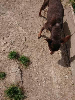 f:id:roukenhome-ann:20190519192044j:plain