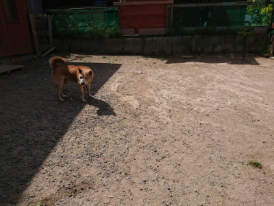 f:id:roukenhome-ann:20190519192102j:plain