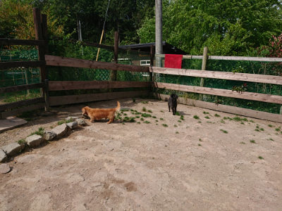 f:id:roukenhome-ann:20190519192121j:plain