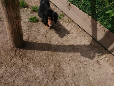 f:id:roukenhome-ann:20190519192218j:plain