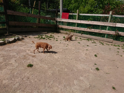 f:id:roukenhome-ann:20190519192225j:plain