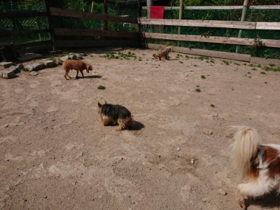 f:id:roukenhome-ann:20190519192246j:plain