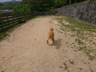 f:id:roukenhome-ann:20190520075356j:plain