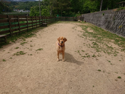f:id:roukenhome-ann:20190520075407j:plain