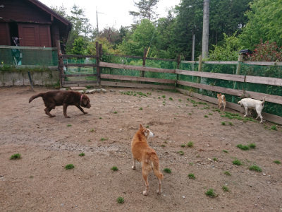 f:id:roukenhome-ann:20190521125302j:plain