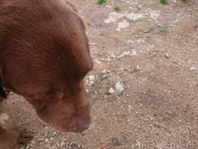 f:id:roukenhome-ann:20190521125312j:plain