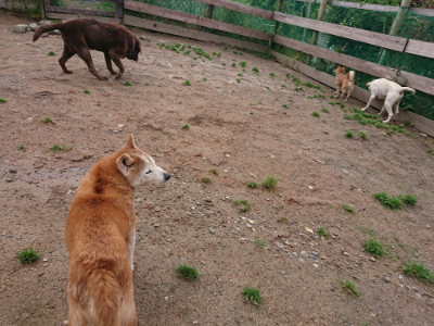 f:id:roukenhome-ann:20190521125329j:plain