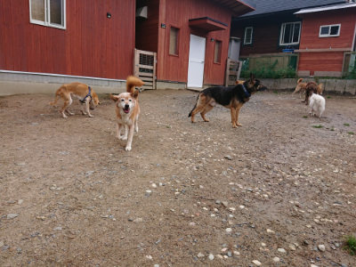 f:id:roukenhome-ann:20190521125345j:plain